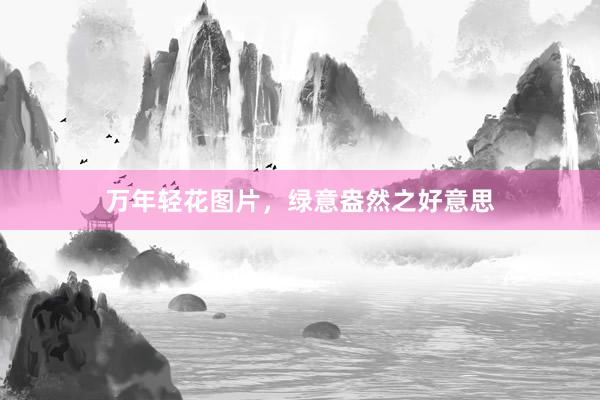 万年轻花图片，绿意盎然之好意思