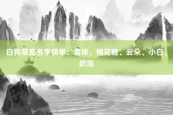 白狗萌宠名字保举：雪球、棉花糖、云朵、小白、奶泡