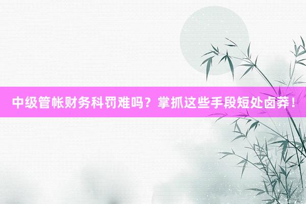 中级管帐财务科罚难吗？掌抓这些手段短处卤莽！